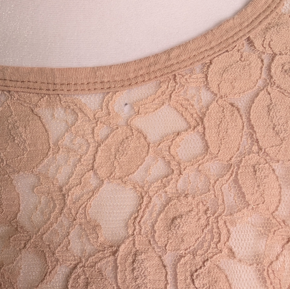 Lace Feminine Blush Pink Sheer Crop Top Coquette Fairy Romantic Kawaii Sz Small - Picture 12 of 14